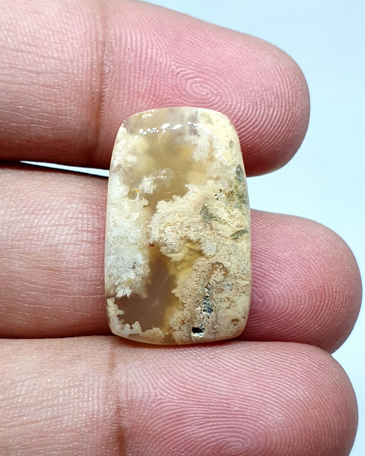 Rectangle Jasper Cabochon: AAA Quality Loose Gemstone (24 X 15 X 5 mm)