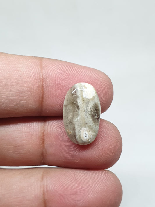 Oval Ocean Jasper Cabochon: Handmade Gemstone for Jewelry (19x12x5mm, 9.60 Crt, AAA Quality)