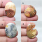 Maligano Jasper Cabochon: AAA Quality Loose Gemstone