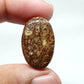 AAA Oval Turritella Agate Cabochon: Natural Loose Gemstone (24x15x6 mm)