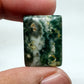 AAA Ocean Jasper Cabochon, Loose Gemstone