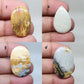 AAA Maligano Jasper Cabochon: Loose Gemstone