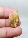AAA Maligano Jasper Cabochon: Loose Gemstone