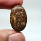 AAA Oval Turritella Agate Cabochon: Natural Loose Gemstone (24x15x6 mm)