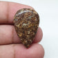Teardrop Turritella Agate Cabochon: Natural Jewelry Making Stone (32x20x6mm)