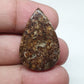 Teardrop Turritella Agate Cabochon: Natural Jewelry Making Stone (32x20x6mm)