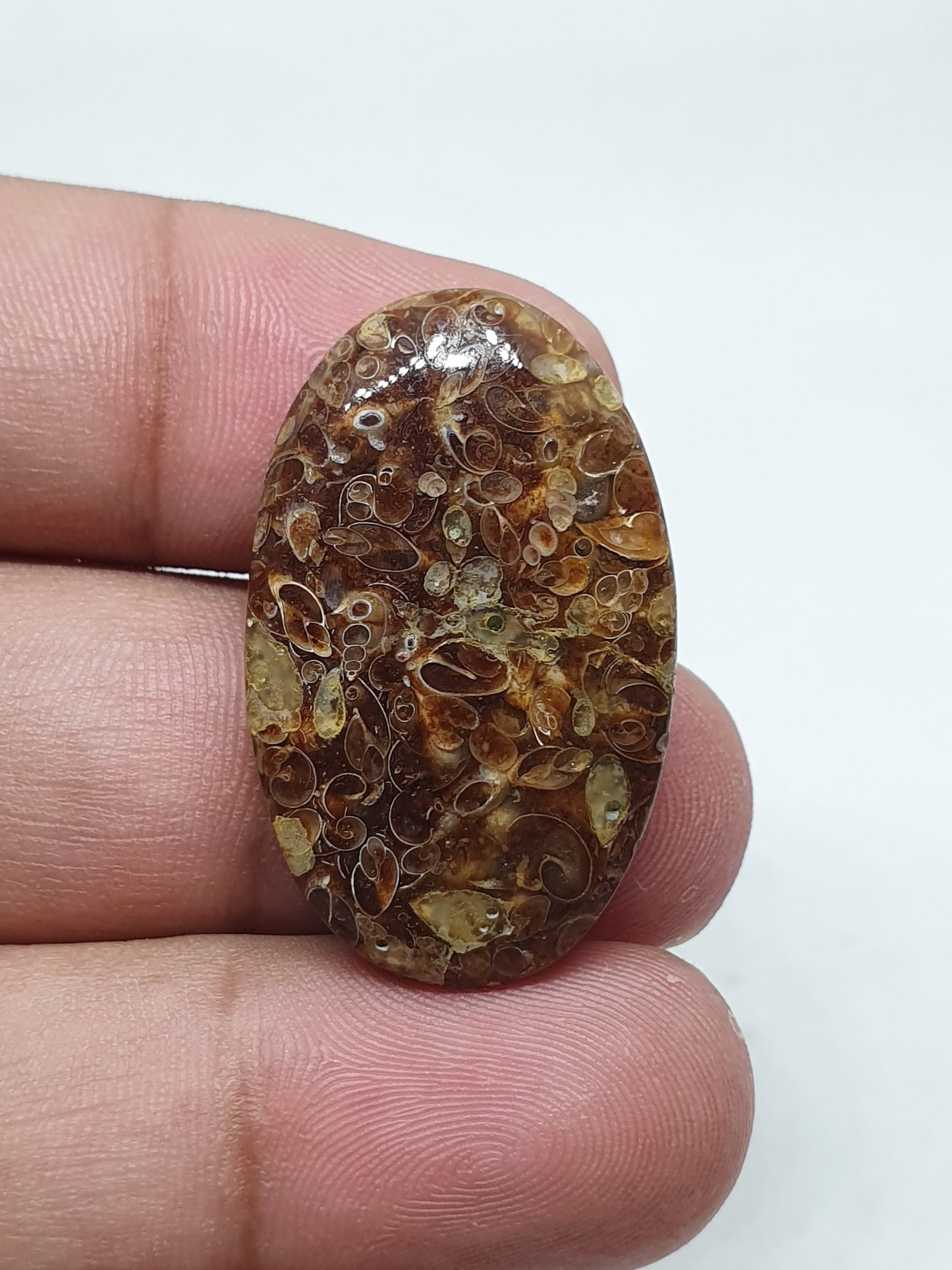 Natural Turritella Agate Cabochon: Oval Jewelry Making Stone