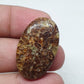 Natural Turritella Agate Cabochon: Oval Jewelry Making Stone