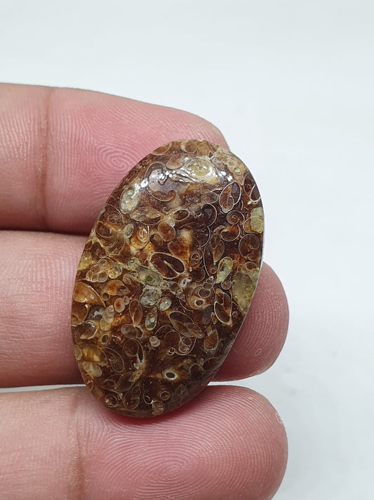 Natural Turritella Agate Cabochon: Oval Jewelry Making Stone