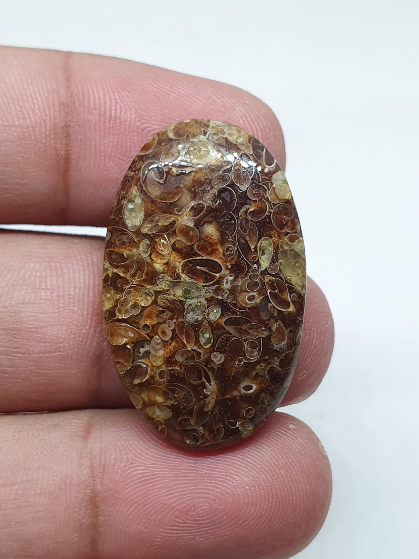 Natural Turritella Agate Cabochon: Oval Jewelry Making Stone