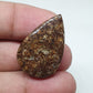 Teardrop Turritella Agate Cabochon: Natural Jewelry Making Stone (32x20x6mm)