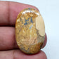 Oval Maligano Jasper Cabochon, AAA Quality Gemstone