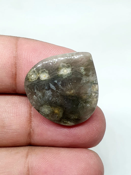 Triangle Ocean Jasper Cabochon: AAA Grade Gemstone, 24mm