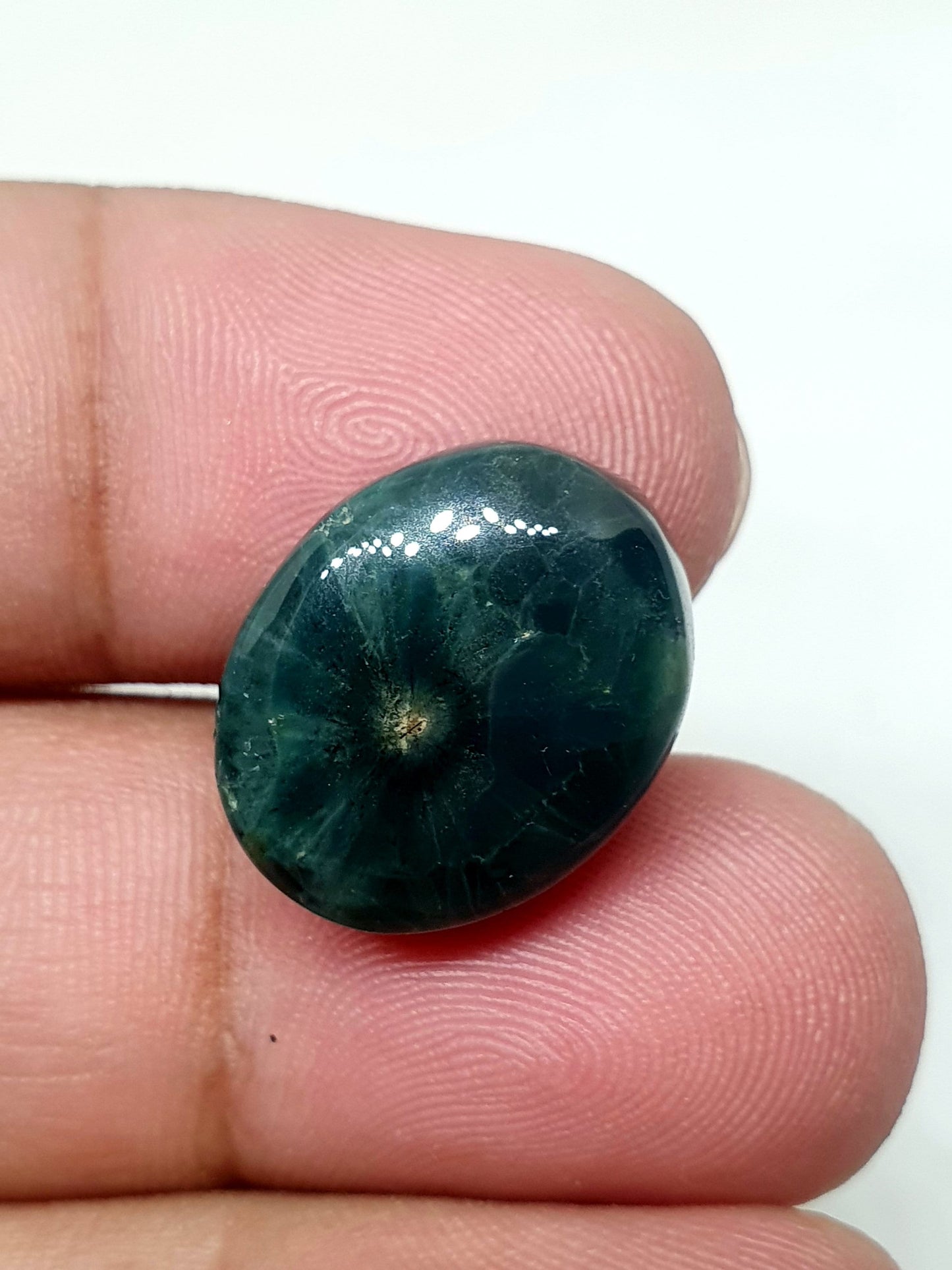Oval Ocean Jasper Cabochon: AAA Quality Gemstone, 18x15x6mm