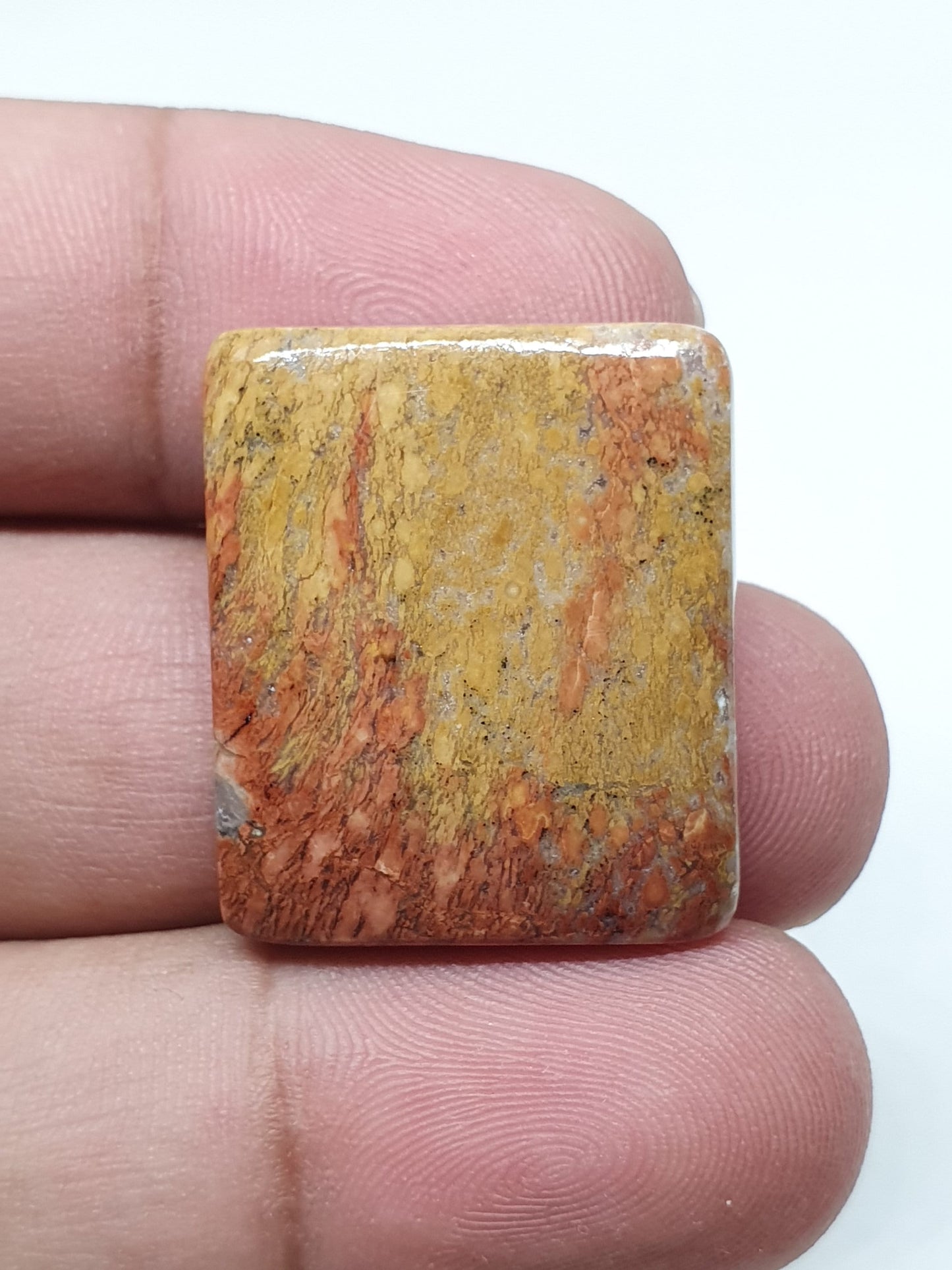 Maligano Jasper Cabochon, Square Loose Gemstone (26 X 22 X 5mm)
