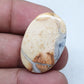 Oval Maligano Jasper Cabochon, AAA Quality, 26.90 Carat