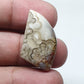 AAA Crazy Lace Agate Cabochon: Polished Laguna Gemstone