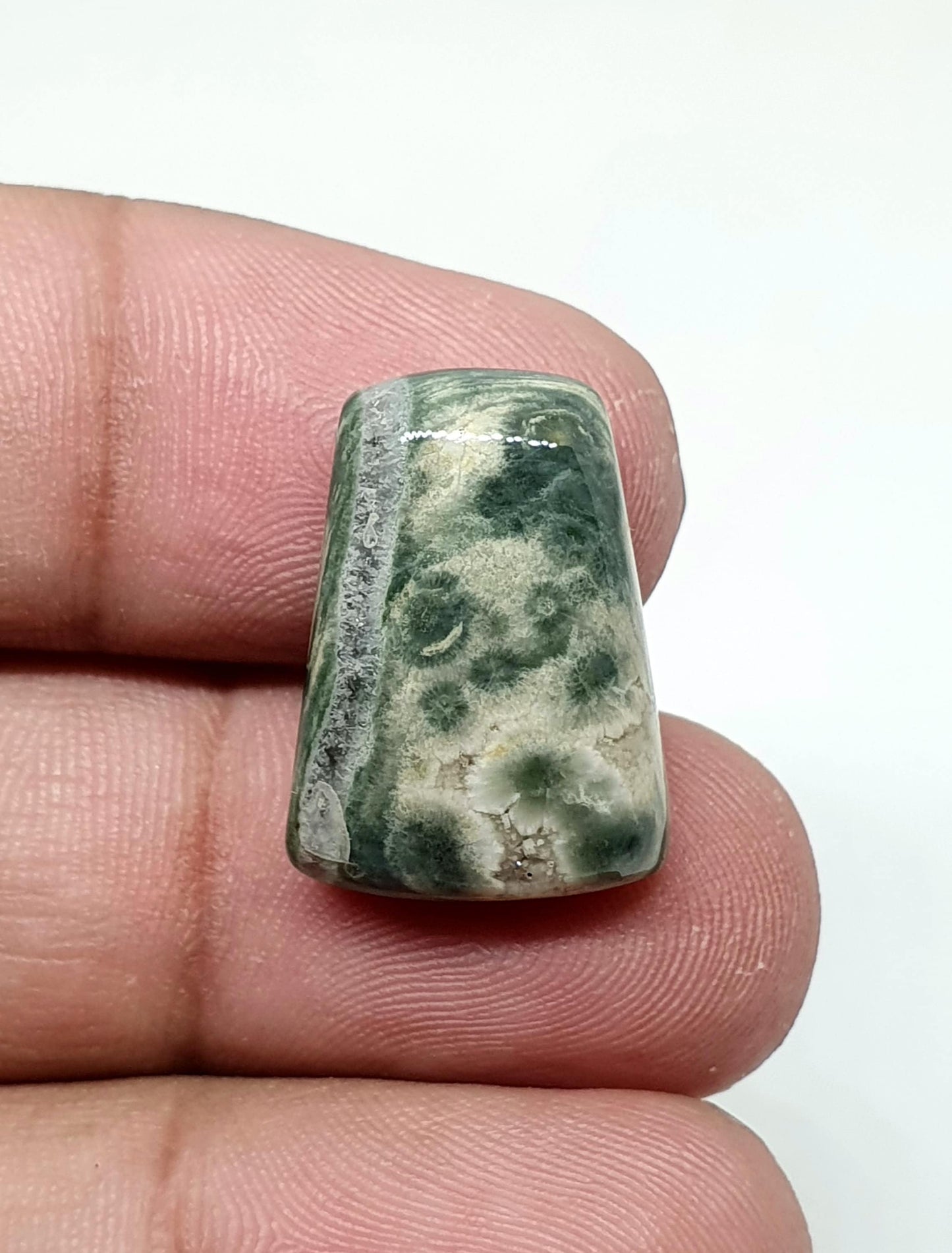 Ocean Jasper Gemstone Cabochon: Fancy AAA Quality (20 X 15 X 6 mm)
