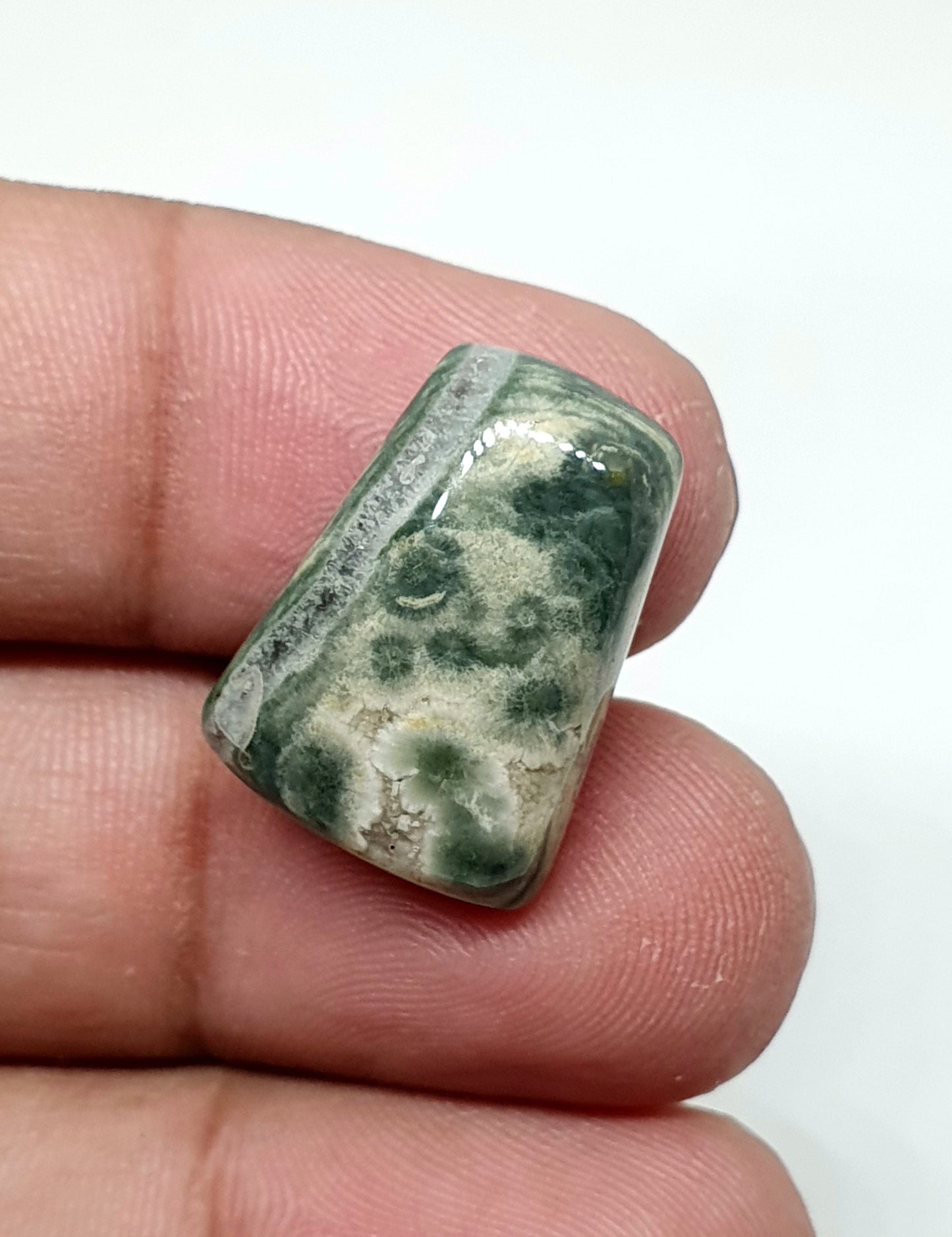 Ocean Jasper Gemstone Cabochon: Fancy AAA Quality (20 X 15 X 6 mm)