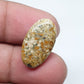 Oval Ocean Jasper Cabochon, AAA Quality Gemstone (21 X 14 X 4 mm)