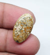 Oval Ocean Jasper Cabochon, AAA Quality Gemstone (21 X 14 X 4 mm)