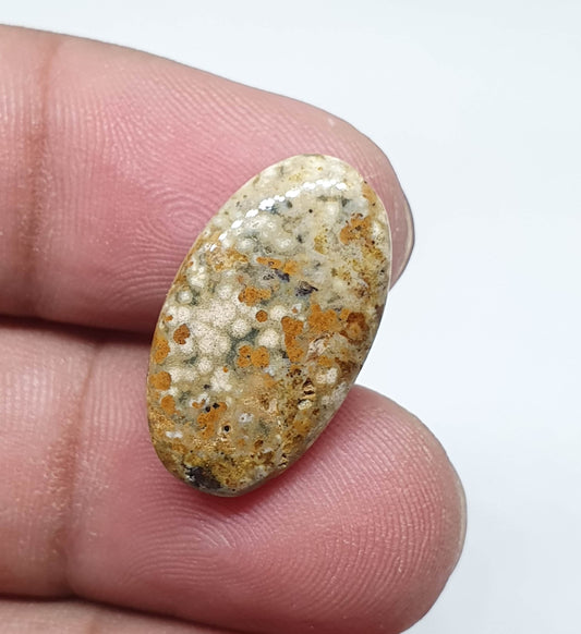 Oval Ocean Jasper Cabochon, AAA Quality Gemstone (21 X 14 X 4 mm)