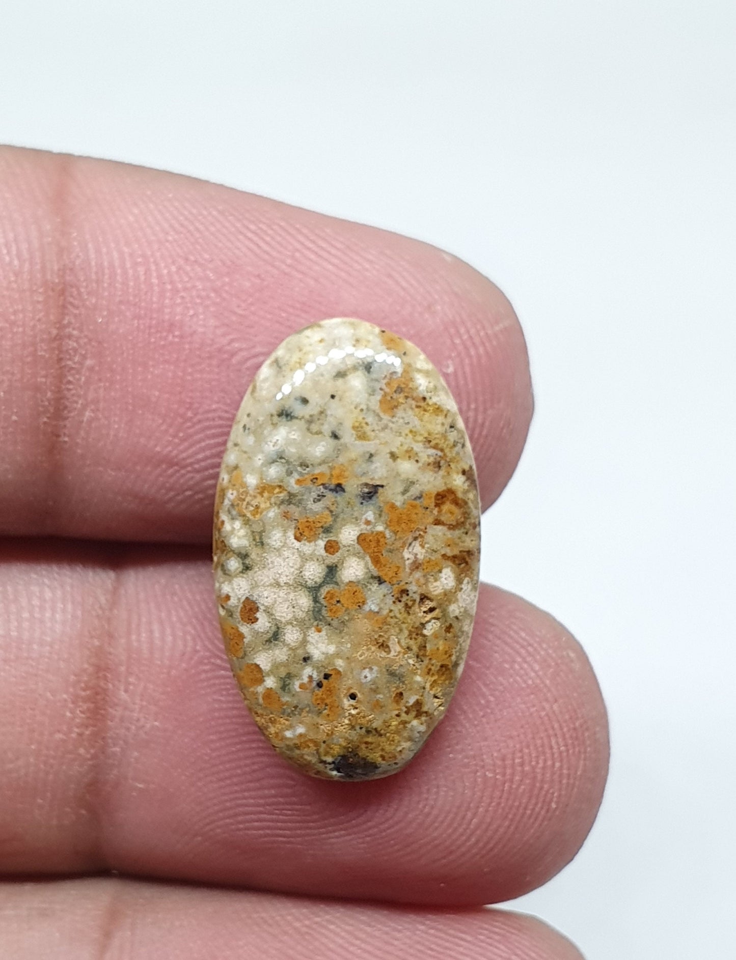 Oval Ocean Jasper Cabochon, AAA Quality Gemstone (21 X 14 X 4 mm)