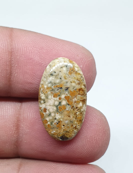 Oval Ocean Jasper Cabochon, AAA Quality Gemstone (21 X 14 X 4 mm)