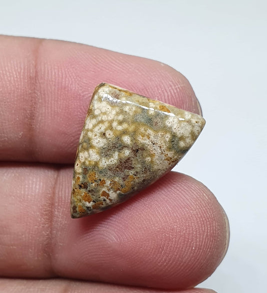 Triangle Ocean Jasper Cabochon, AAA Quality Gemstone