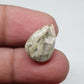 Teardrop Ocean Jasper Cabochon, AAA Grade Gemstone (17 X 12 X 5 mm)