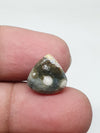 Ocean Jasper Cabochon, AAA Grade Fancy Gemstone (12 X 12 X 4 mm)