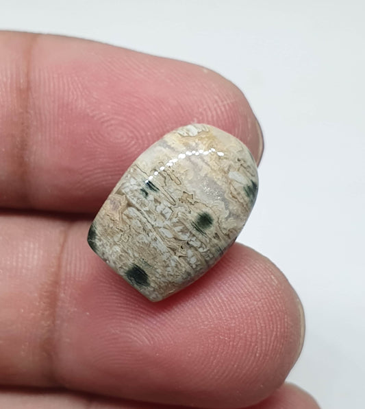AAA Ocean Jasper Cabochon: Fancy Gemstone (17 X 12 X 5 mm)