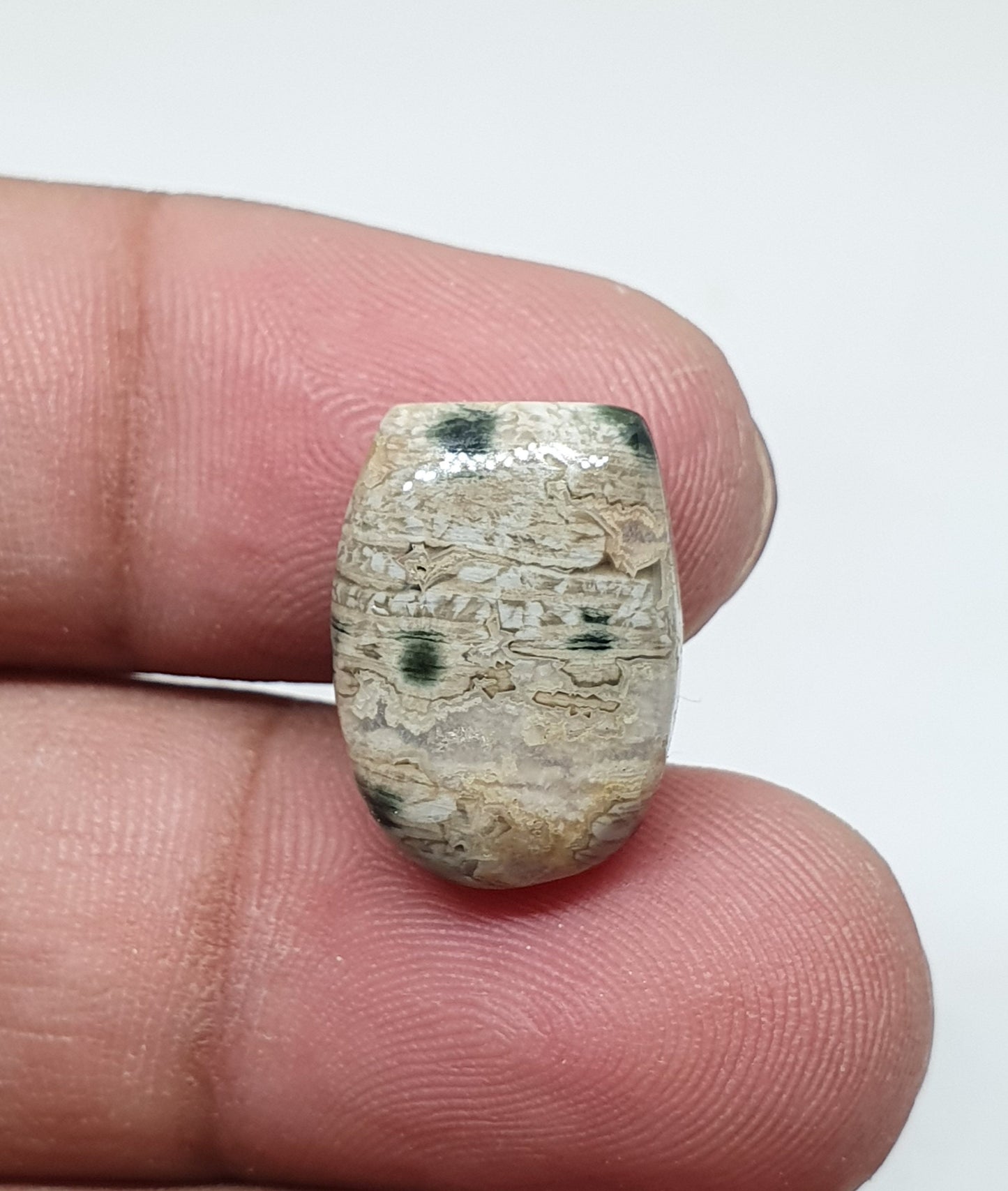 AAA Ocean Jasper Cabochon: Fancy Gemstone (17 X 12 X 5 mm)