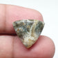 Triangle Ocean Jasper Cabochon, AAA Grade Gemstone (17 X 17 X 5 mm)
