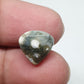 Ocean Jasper Cabochon, AAA Grade Fancy Gemstone (12 X 12 X 4 mm)