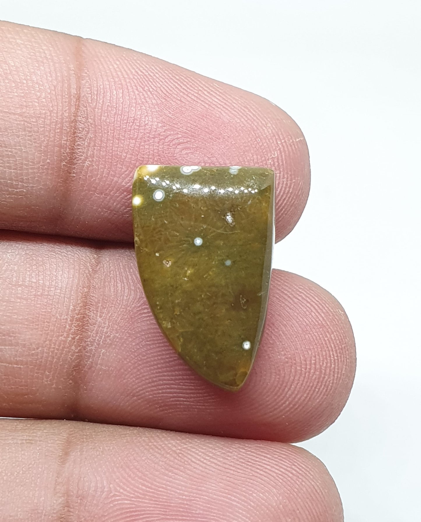 Ocean Jasper Cabochon, Fancy Gemstone, AAA Quality
