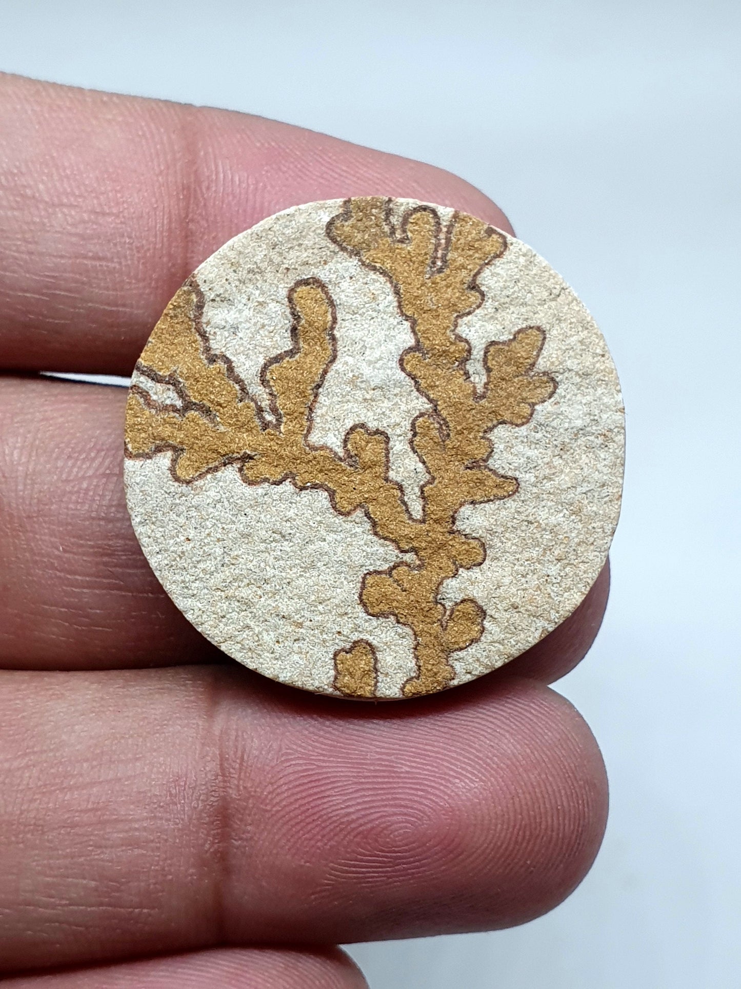 Oval Psilomelane Dendrite Cabochon: AAA Quality Loose Gemstone