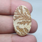 Psilomelane Dendrite Cabochon: Loose Gemstone for Jewelry Making