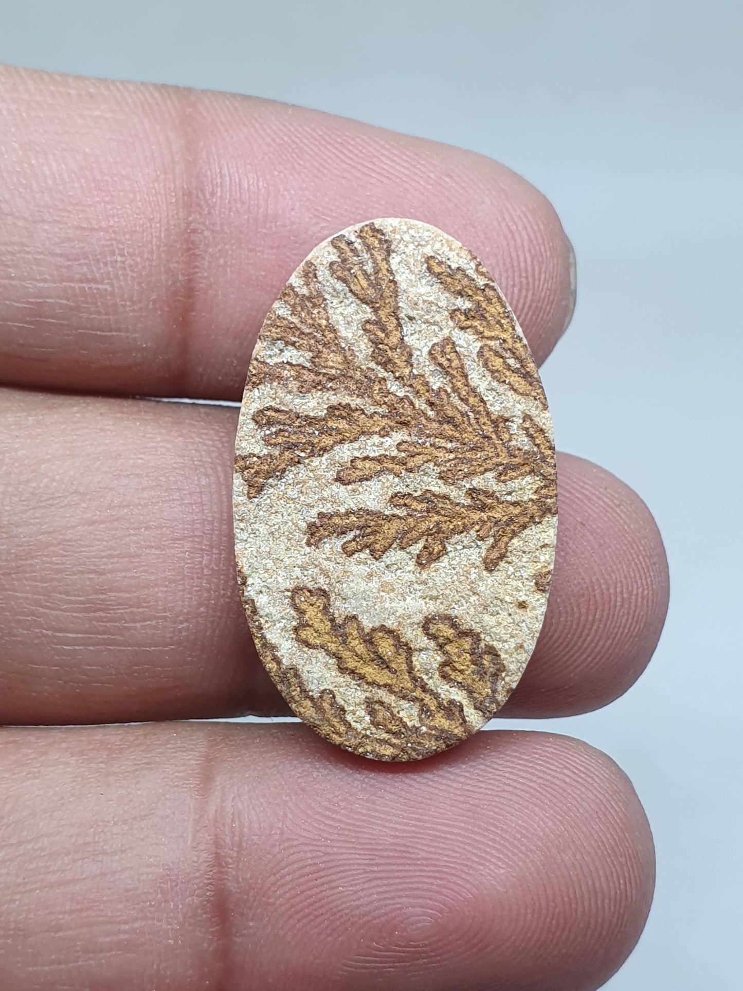 Psilomelane Dendrite Cabochon: Loose Gemstone for Jewelry Making