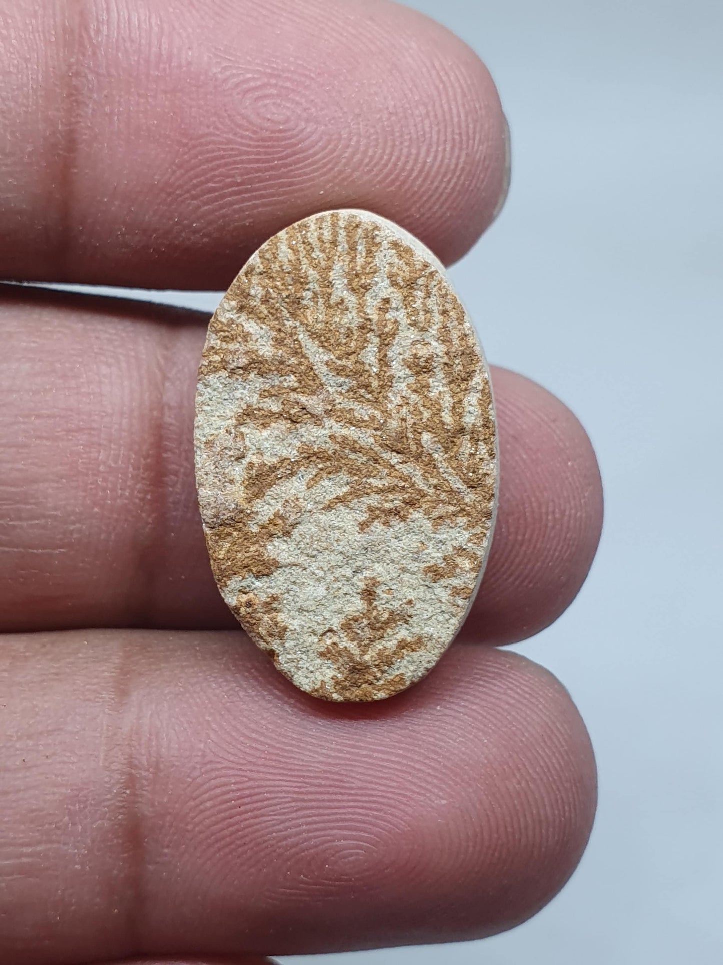 Psilomelane Dendrite Cabochon: Loose Gemstone for Jewelry Making