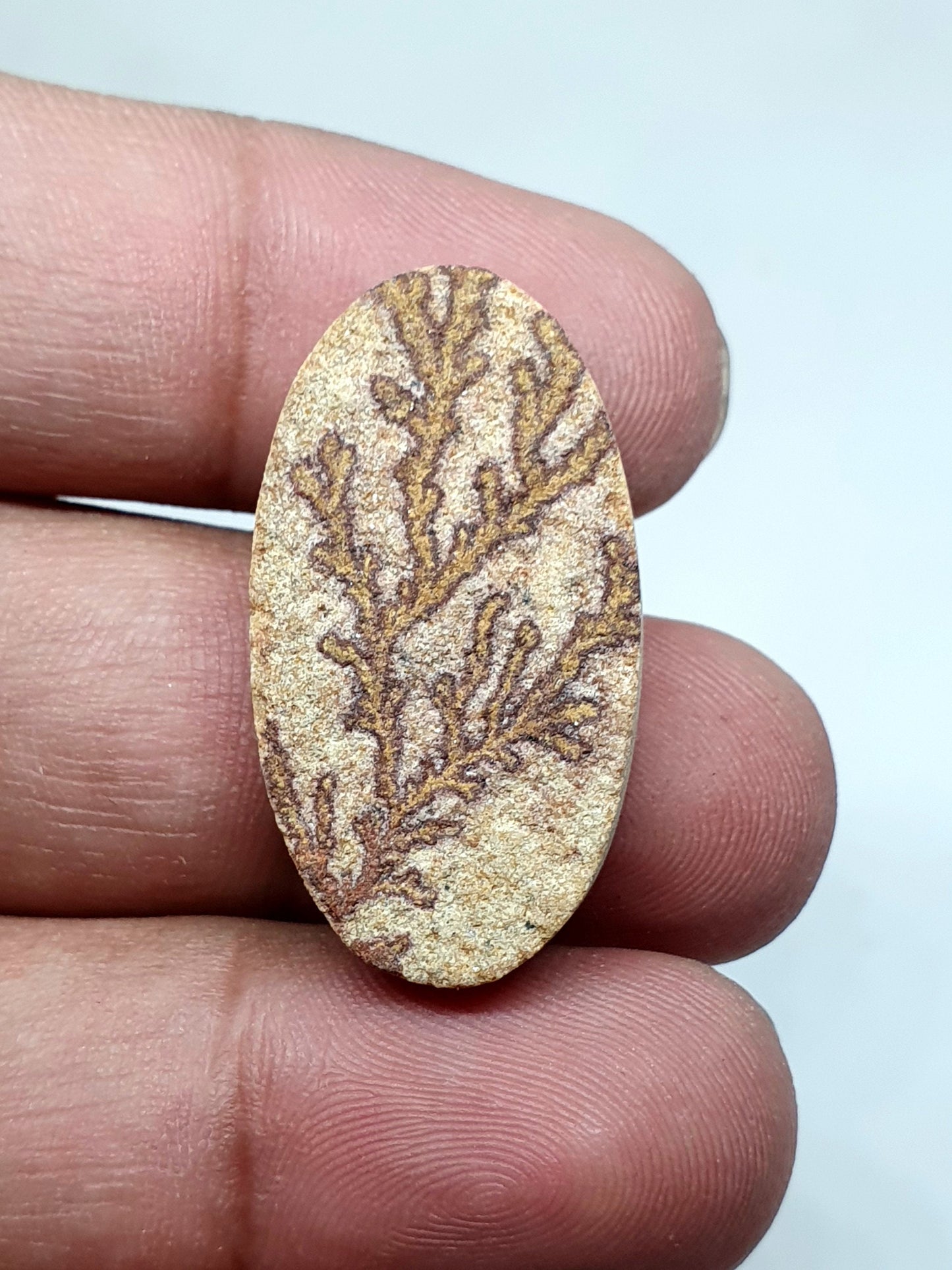 Oval Psilomelane Dendrite Cabochon: AAA Quality Loose Gemstone