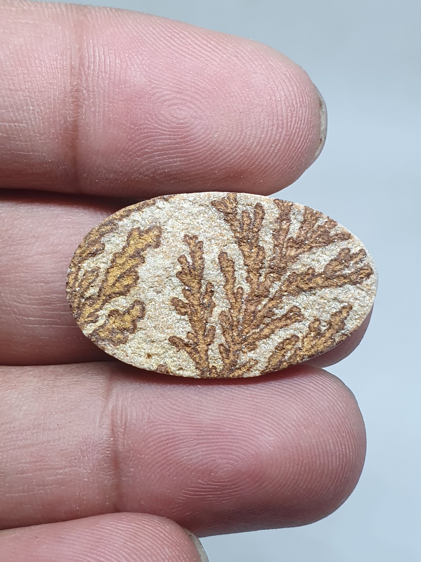Psilomelane Dendrite Cabochon: Loose Gemstone for Jewelry Making