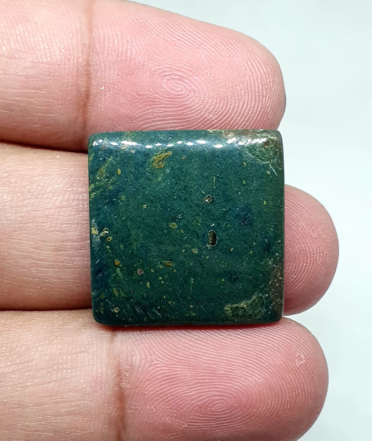 AAA Bloodstone Cabochon: Loose Green Jasper Palm Stone