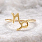925 Sterling Silver Capricorn Ring – Minimalist Zodiac Jewelry